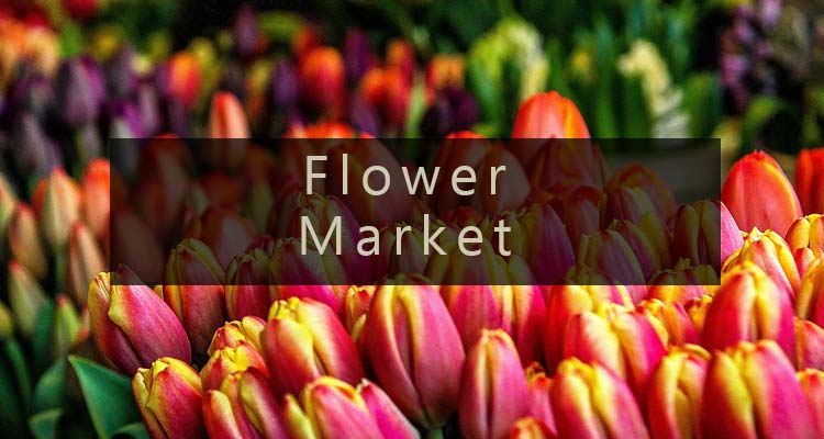Shop the Flower Market