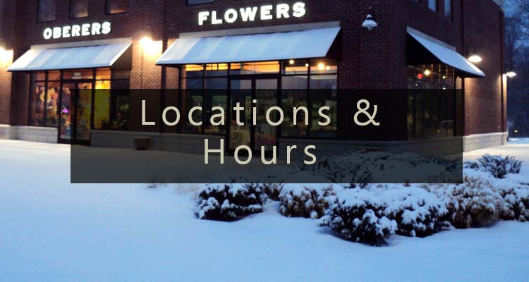 View our Locations and Hours