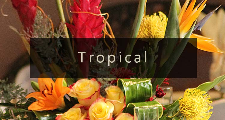 Shop Tropical Arrangements